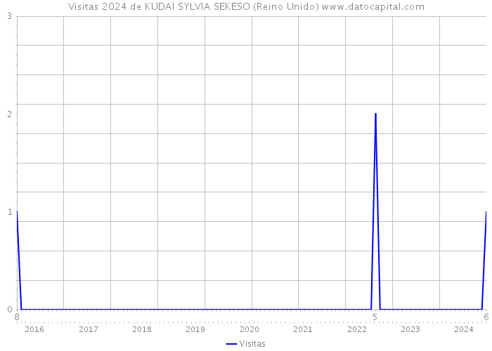 Visitas 2024 de KUDAI SYLVIA SEKESO (Reino Unido) 