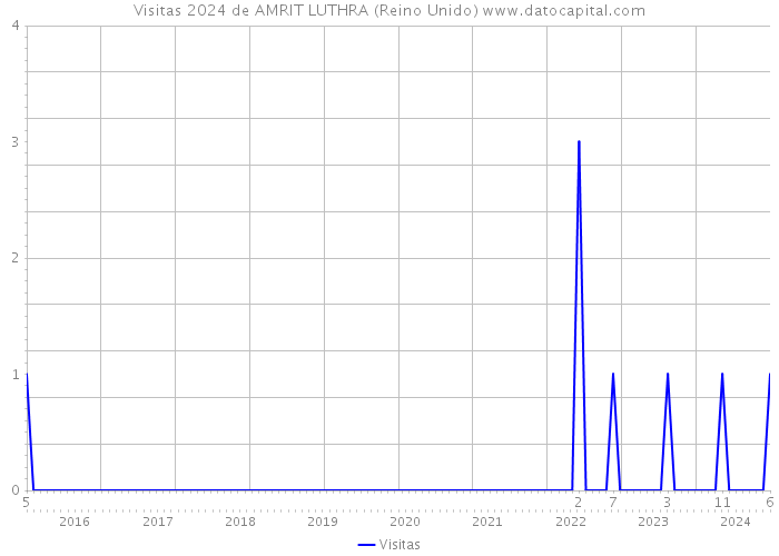 Visitas 2024 de AMRIT LUTHRA (Reino Unido) 