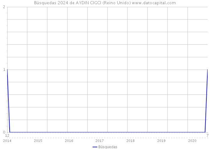 Búsquedas 2024 de AYDIN CIGCI (Reino Unido) 