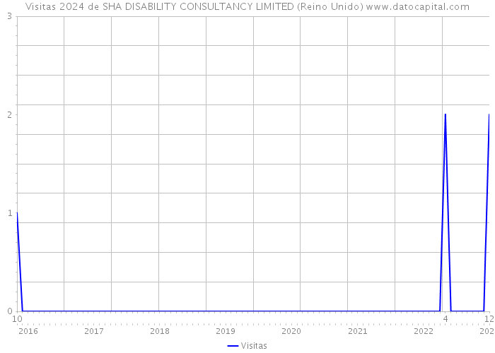 Visitas 2024 de SHA DISABILITY CONSULTANCY LIMITED (Reino Unido) 