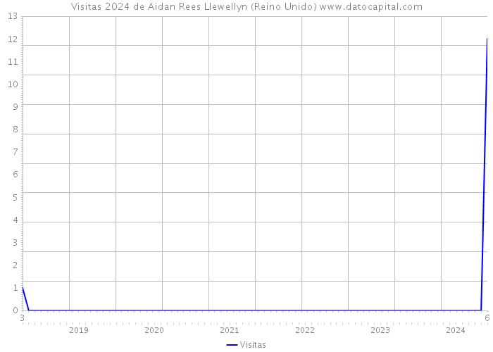 Visitas 2024 de Aidan Rees Llewellyn (Reino Unido) 