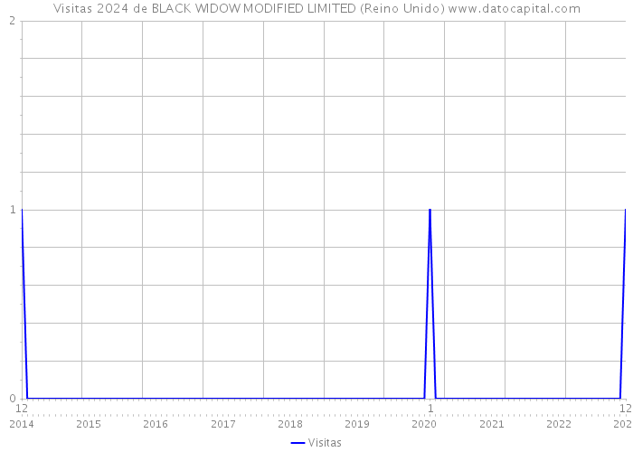 Visitas 2024 de BLACK WIDOW MODIFIED LIMITED (Reino Unido) 