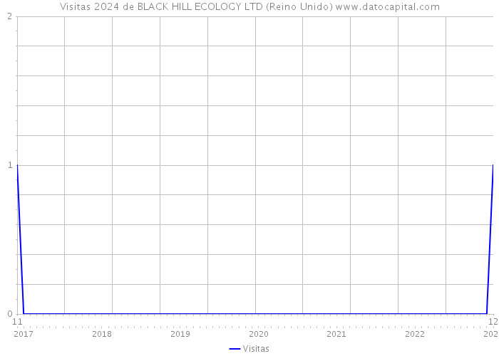 Visitas 2024 de BLACK HILL ECOLOGY LTD (Reino Unido) 