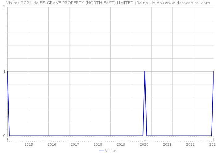 Visitas 2024 de BELGRAVE PROPERTY (NORTH EAST) LIMITED (Reino Unido) 