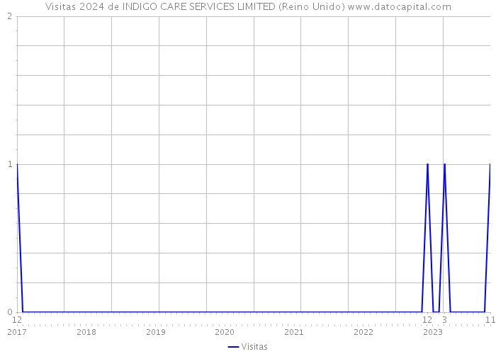 Visitas 2024 de INDIGO CARE SERVICES LIMITED (Reino Unido) 