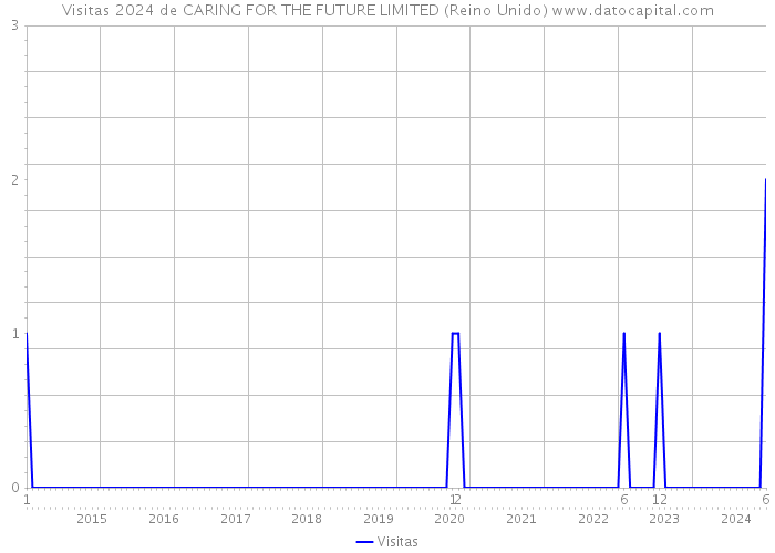 Visitas 2024 de CARING FOR THE FUTURE LIMITED (Reino Unido) 