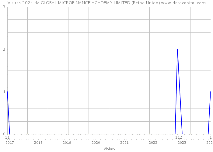 Visitas 2024 de GLOBAL MICROFINANCE ACADEMY LIMITED (Reino Unido) 