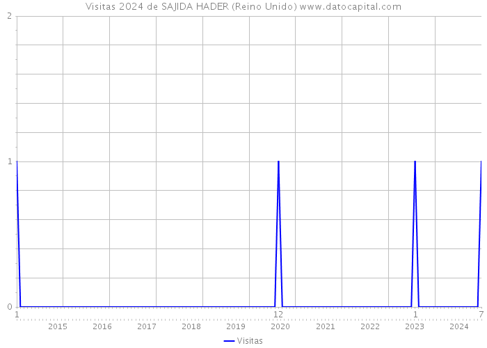 Visitas 2024 de SAJIDA HADER (Reino Unido) 