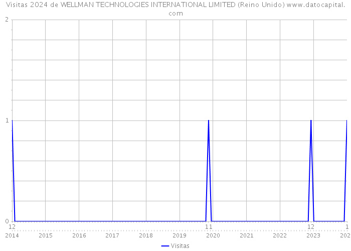 Visitas 2024 de WELLMAN TECHNOLOGIES INTERNATIONAL LIMITED (Reino Unido) 