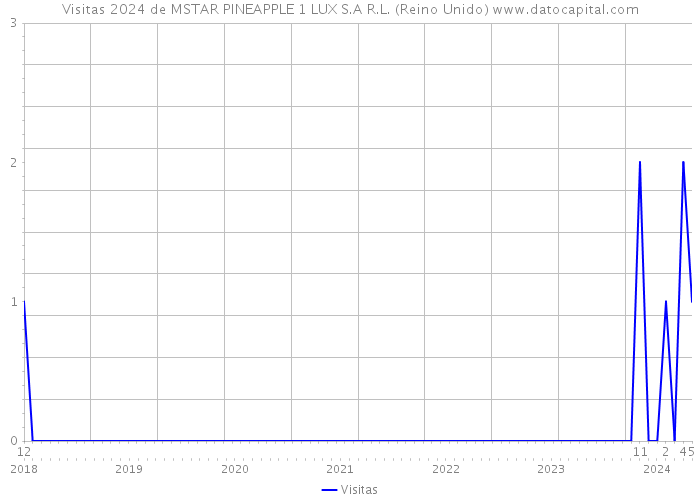 Visitas 2024 de MSTAR PINEAPPLE 1 LUX S.A R.L. (Reino Unido) 