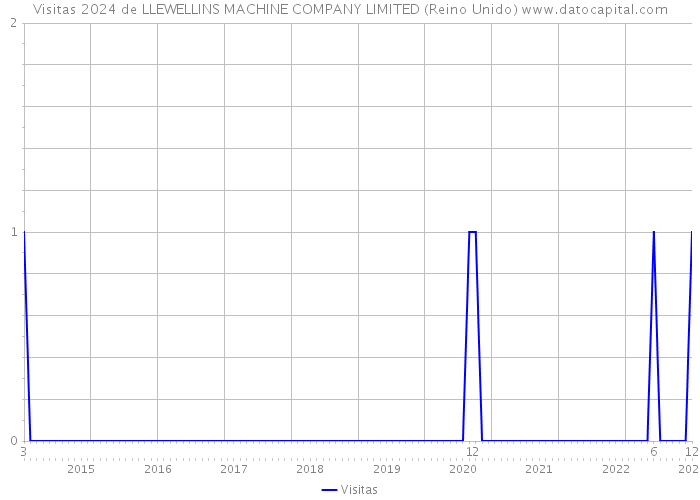 Visitas 2024 de LLEWELLINS MACHINE COMPANY LIMITED (Reino Unido) 