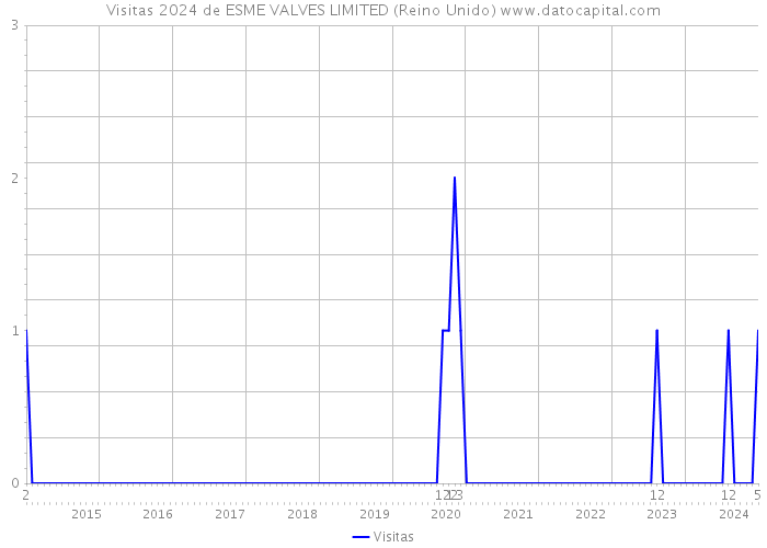 Visitas 2024 de ESME VALVES LIMITED (Reino Unido) 