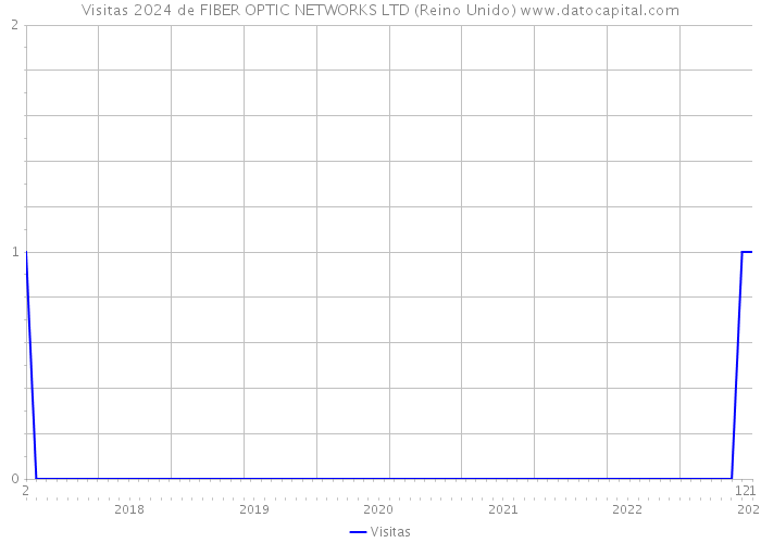 Visitas 2024 de FIBER OPTIC NETWORKS LTD (Reino Unido) 