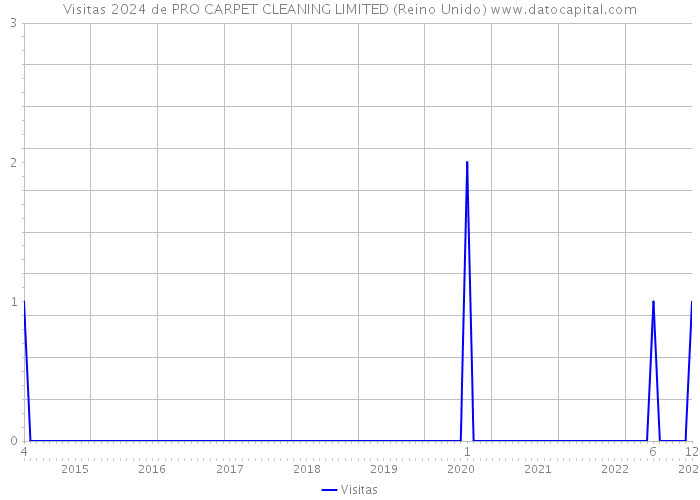 Visitas 2024 de PRO CARPET CLEANING LIMITED (Reino Unido) 
