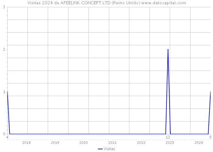 Visitas 2024 de AFEELINK CONCEPT LTD (Reino Unido) 