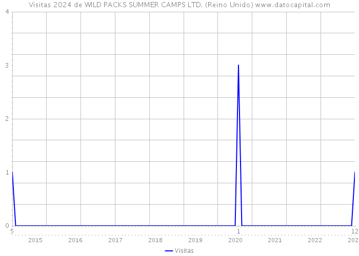 Visitas 2024 de WILD PACKS SUMMER CAMPS LTD. (Reino Unido) 