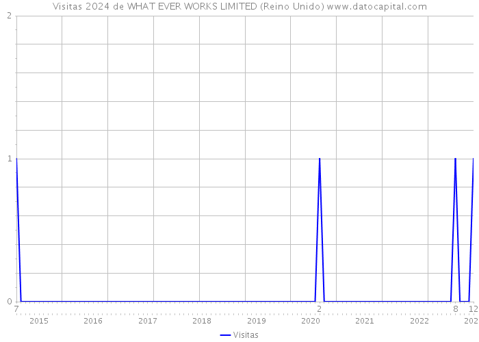 Visitas 2024 de WHAT EVER WORKS LIMITED (Reino Unido) 