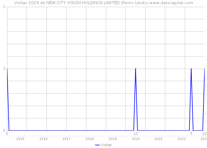 Visitas 2024 de NEW CITY VISION HOLDINGS LIMITED (Reino Unido) 