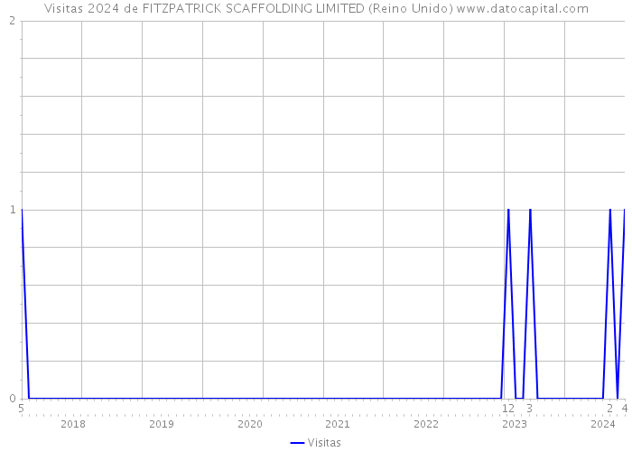 Visitas 2024 de FITZPATRICK SCAFFOLDING LIMITED (Reino Unido) 