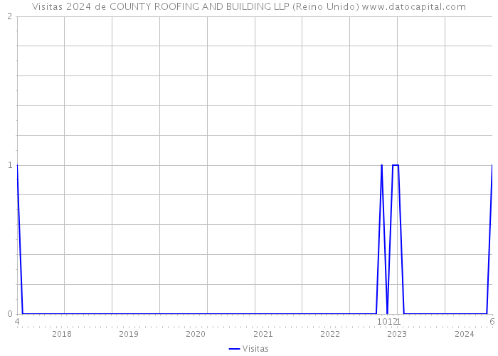 Visitas 2024 de COUNTY ROOFING AND BUILDING LLP (Reino Unido) 