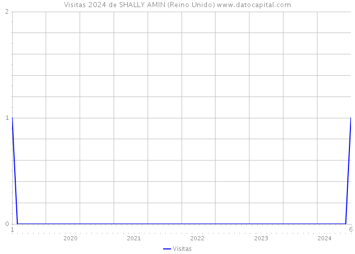 Visitas 2024 de SHALLY AMIN (Reino Unido) 