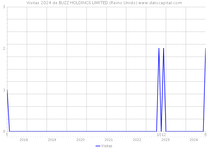 Visitas 2024 de BUZZ HOLDINGS LIMITED (Reino Unido) 