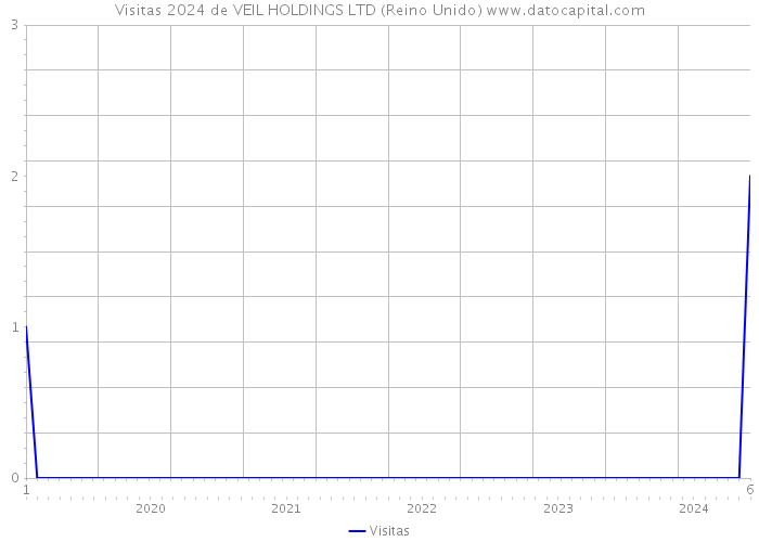 Visitas 2024 de VEIL HOLDINGS LTD (Reino Unido) 