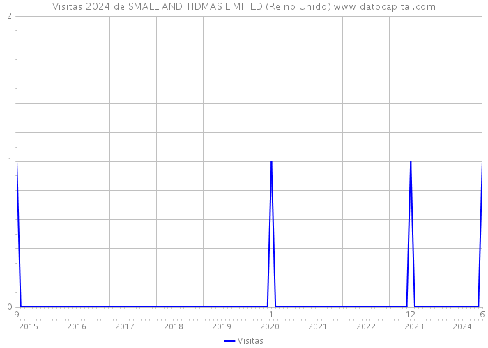 Visitas 2024 de SMALL AND TIDMAS LIMITED (Reino Unido) 