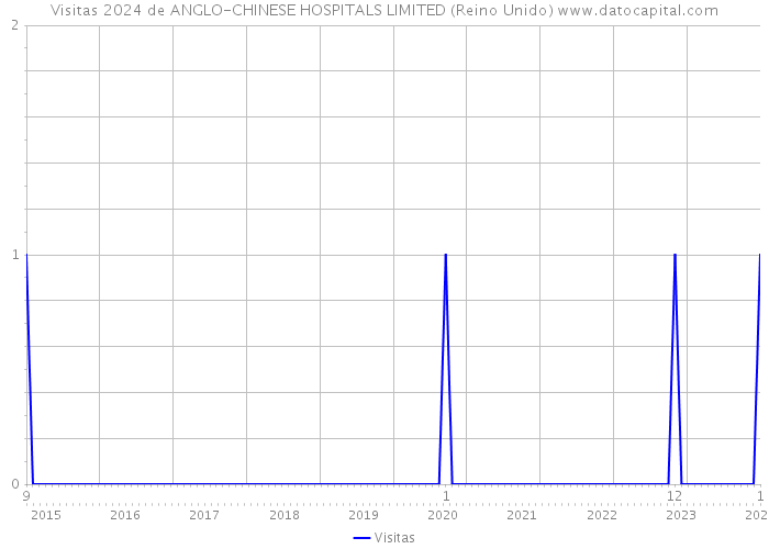 Visitas 2024 de ANGLO-CHINESE HOSPITALS LIMITED (Reino Unido) 