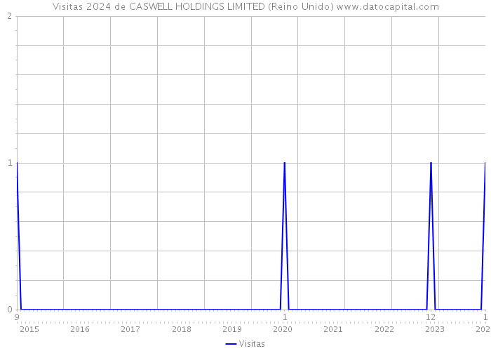 Visitas 2024 de CASWELL HOLDINGS LIMITED (Reino Unido) 