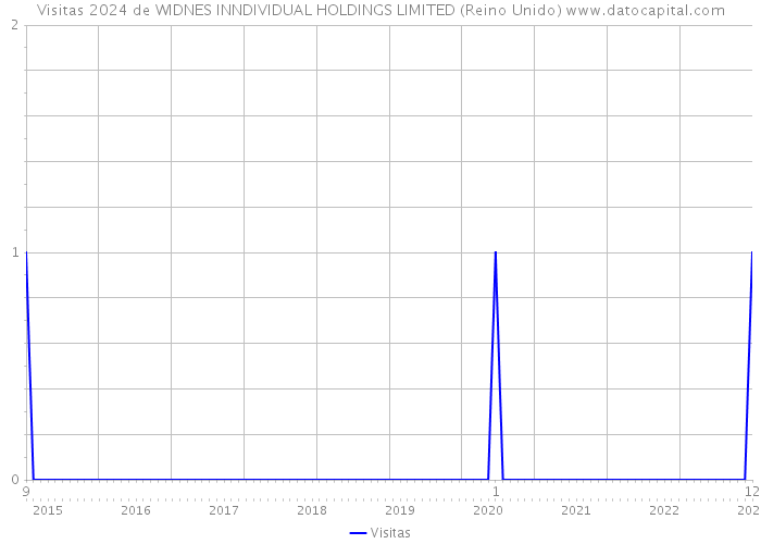 Visitas 2024 de WIDNES INNDIVIDUAL HOLDINGS LIMITED (Reino Unido) 