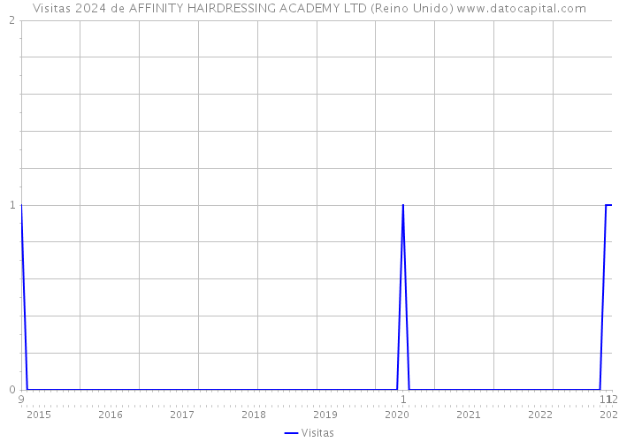 Visitas 2024 de AFFINITY HAIRDRESSING ACADEMY LTD (Reino Unido) 