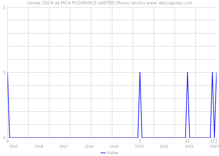 Visitas 2024 de PICA FLOORINGS LIMITED (Reino Unido) 