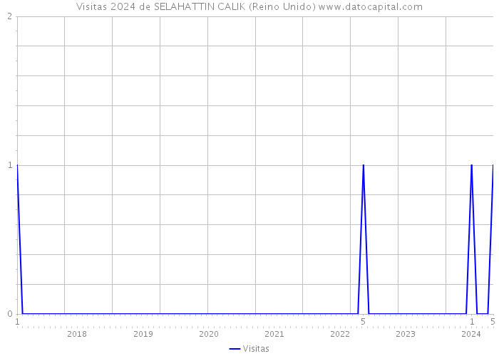 Visitas 2024 de SELAHATTIN CALIK (Reino Unido) 