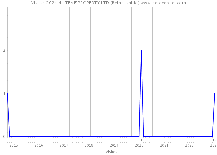 Visitas 2024 de TEME PROPERTY LTD (Reino Unido) 