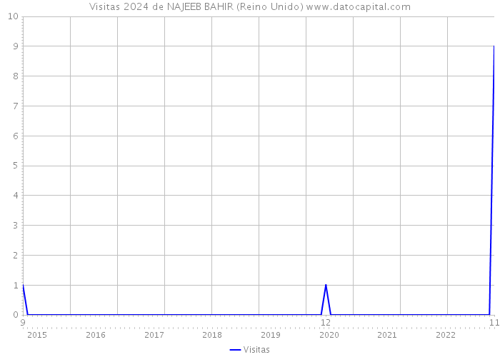 Visitas 2024 de NAJEEB BAHIR (Reino Unido) 