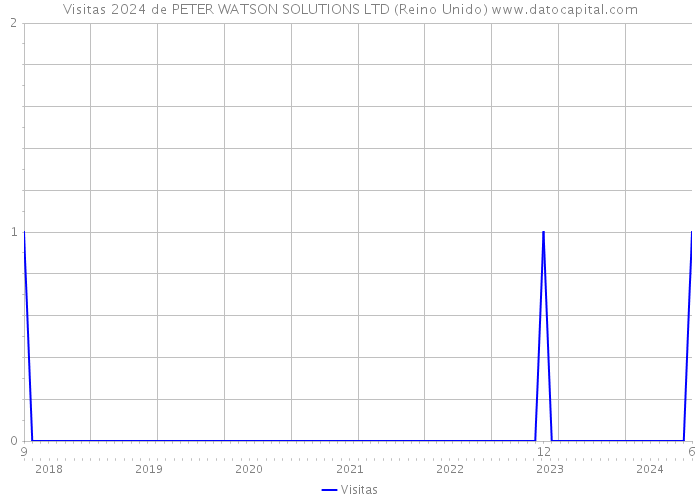 Visitas 2024 de PETER WATSON SOLUTIONS LTD (Reino Unido) 