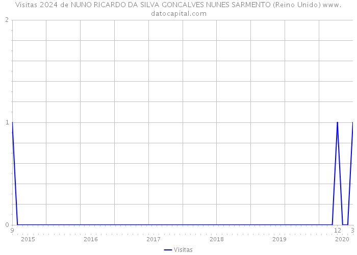 Visitas 2024 de NUNO RICARDO DA SILVA GONCALVES NUNES SARMENTO (Reino Unido) 