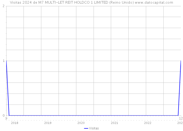 Visitas 2024 de M7 MULTI-LET REIT HOLDCO 1 LIMITED (Reino Unido) 