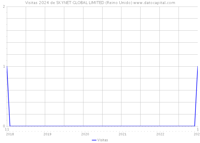 Visitas 2024 de SKYNET GLOBAL LIMITED (Reino Unido) 