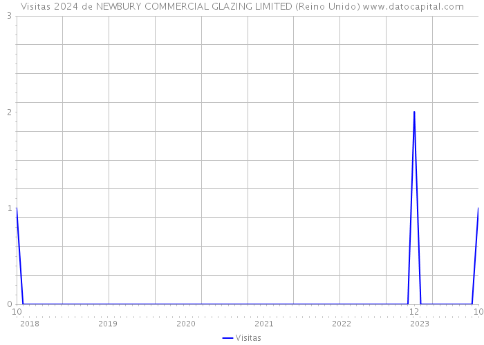 Visitas 2024 de NEWBURY COMMERCIAL GLAZING LIMITED (Reino Unido) 