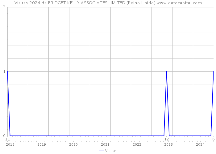 Visitas 2024 de BRIDGET KELLY ASSOCIATES LIMITED (Reino Unido) 