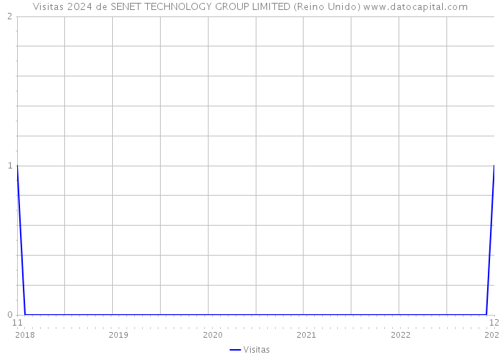 Visitas 2024 de SENET TECHNOLOGY GROUP LIMITED (Reino Unido) 