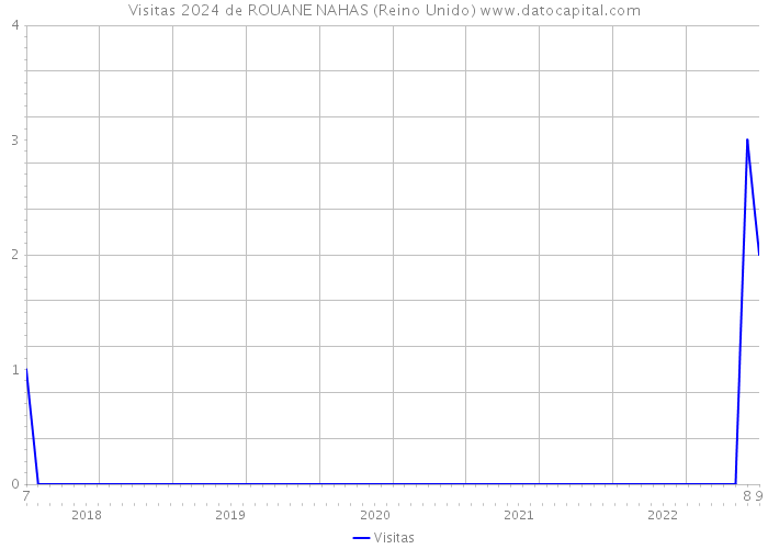 Visitas 2024 de ROUANE NAHAS (Reino Unido) 