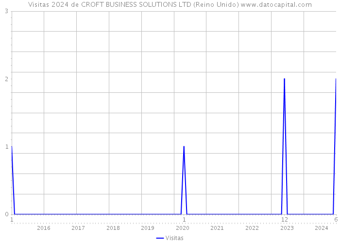 Visitas 2024 de CROFT BUSINESS SOLUTIONS LTD (Reino Unido) 