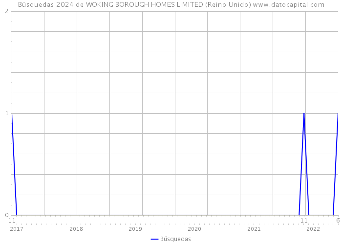 Búsquedas 2024 de WOKING BOROUGH HOMES LIMITED (Reino Unido) 