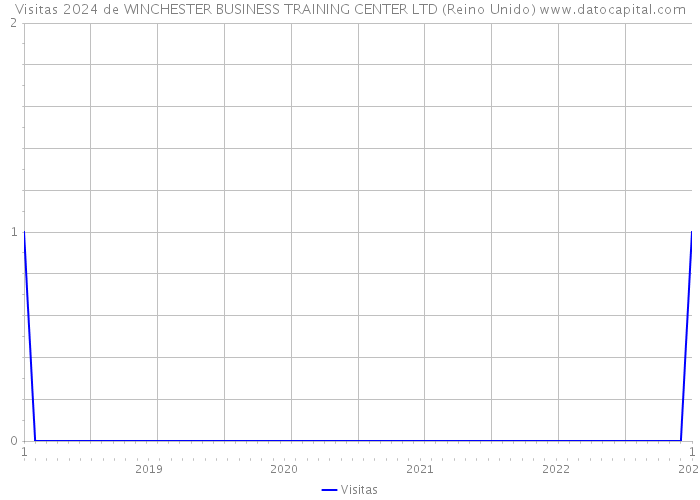 Visitas 2024 de WINCHESTER BUSINESS TRAINING CENTER LTD (Reino Unido) 