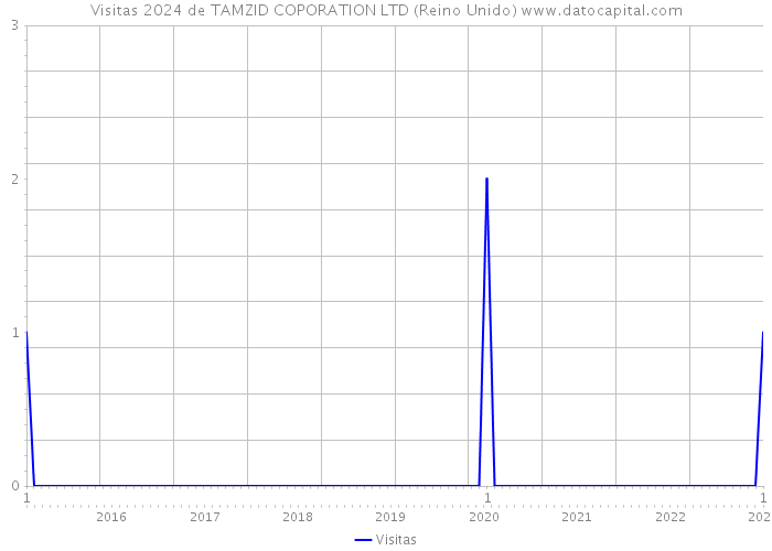 Visitas 2024 de TAMZID COPORATION LTD (Reino Unido) 