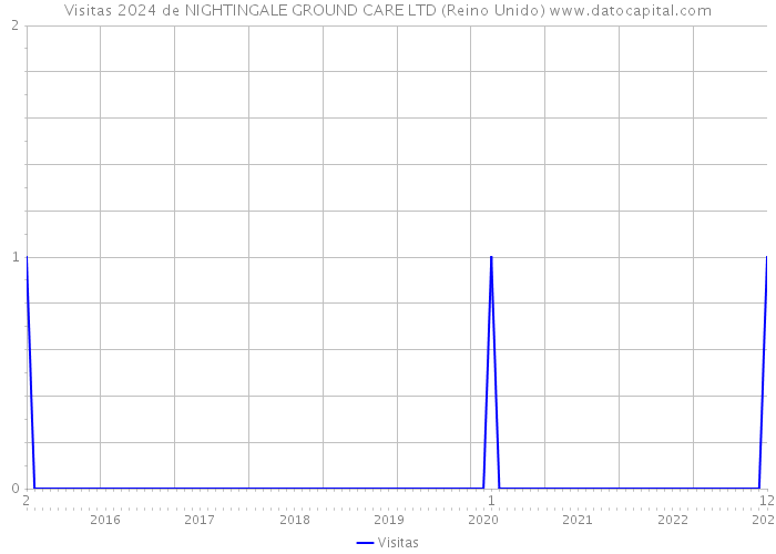 Visitas 2024 de NIGHTINGALE GROUND CARE LTD (Reino Unido) 