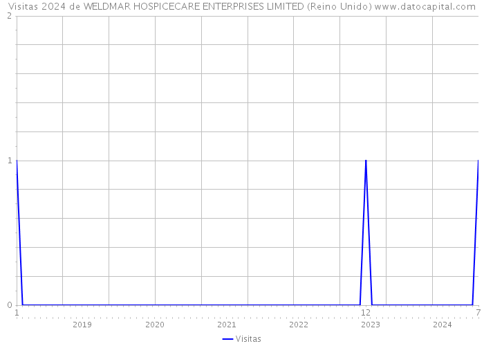 Visitas 2024 de WELDMAR HOSPICECARE ENTERPRISES LIMITED (Reino Unido) 